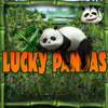Lucky Pandas